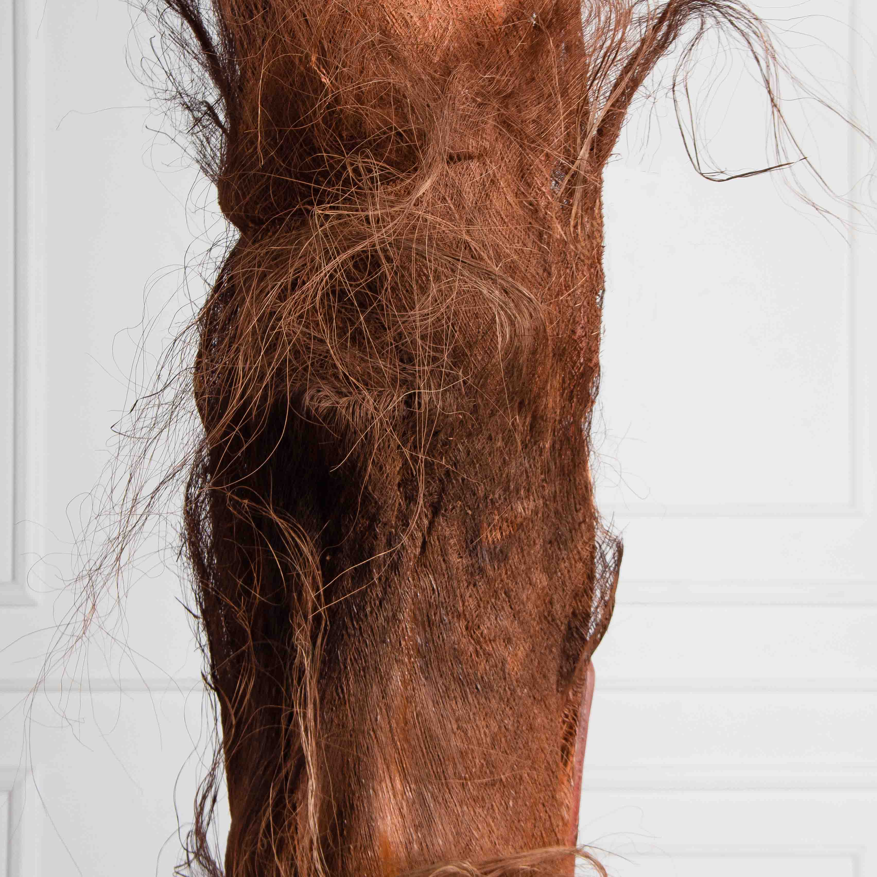 ПС450Разб/ТР/49Прем(Пр)(F) Пальма Арека искусственная h450см на мет.основании_9