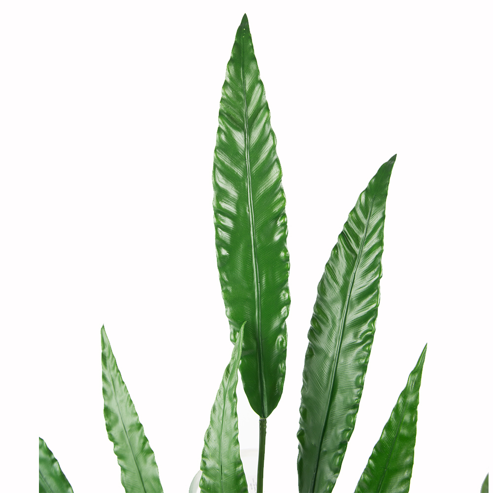 7143/0033-12 Куст Калатея зеленый искусственный, h93см (7л.)_2