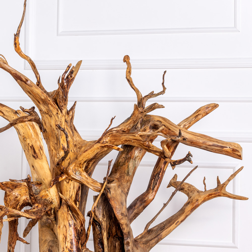 КД01 Корень натуральный декоративный d80см, h80см _3