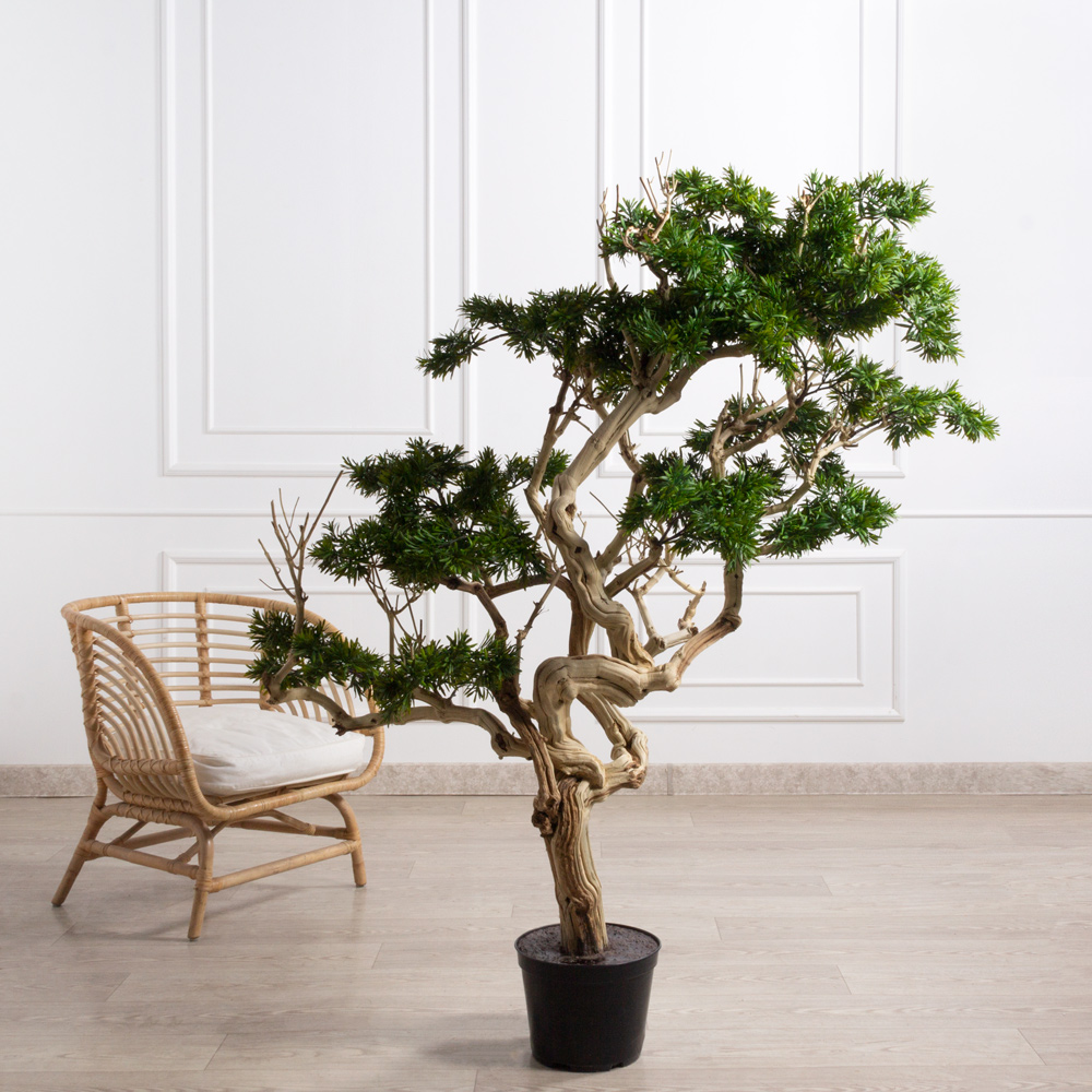 БЛ170/Д3/241(F) Бонсай искусственный Подокарпус h170см_5