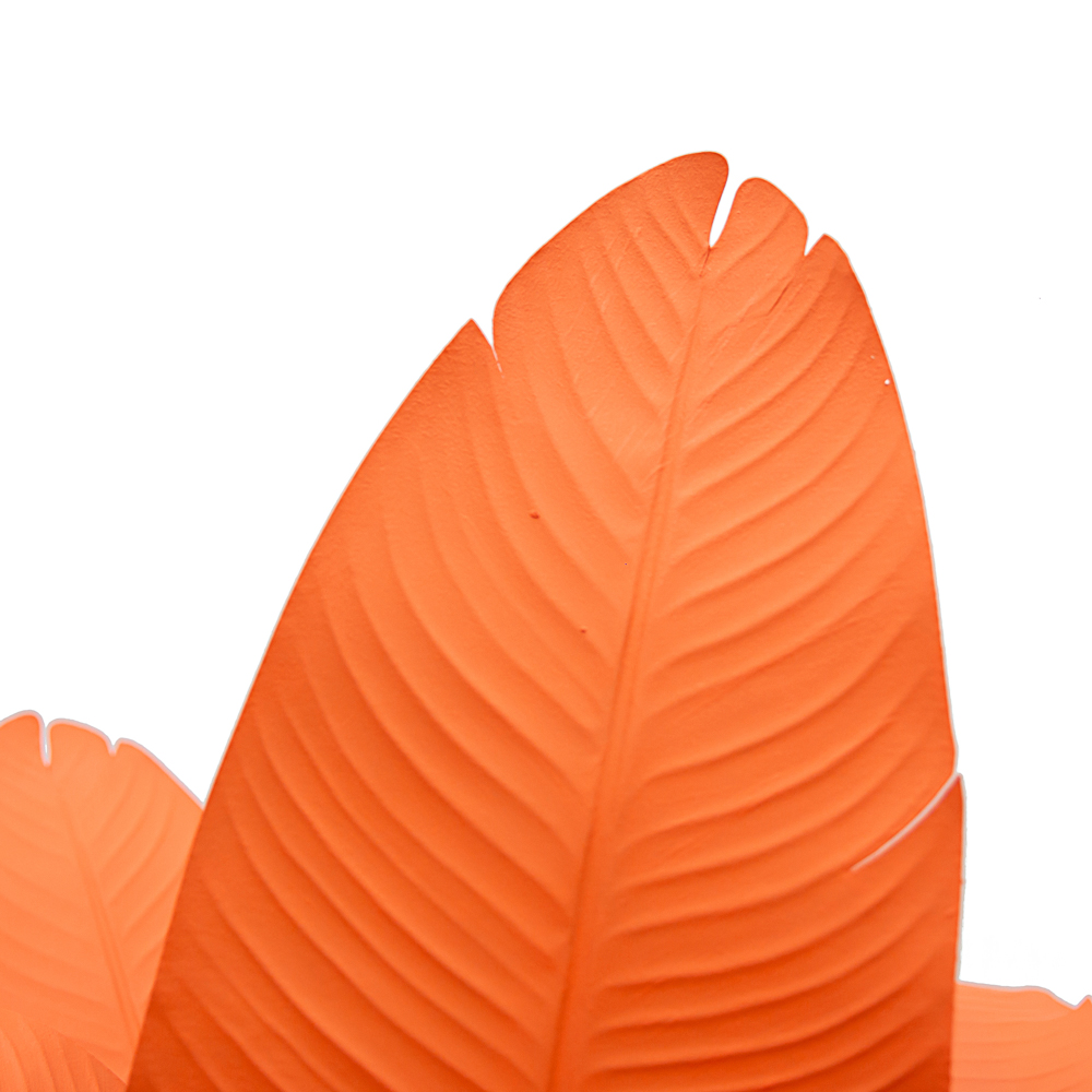 150/К/360-1(з.) Банановая пальма h150см (оранжевая) в интерьерном кашпо_9