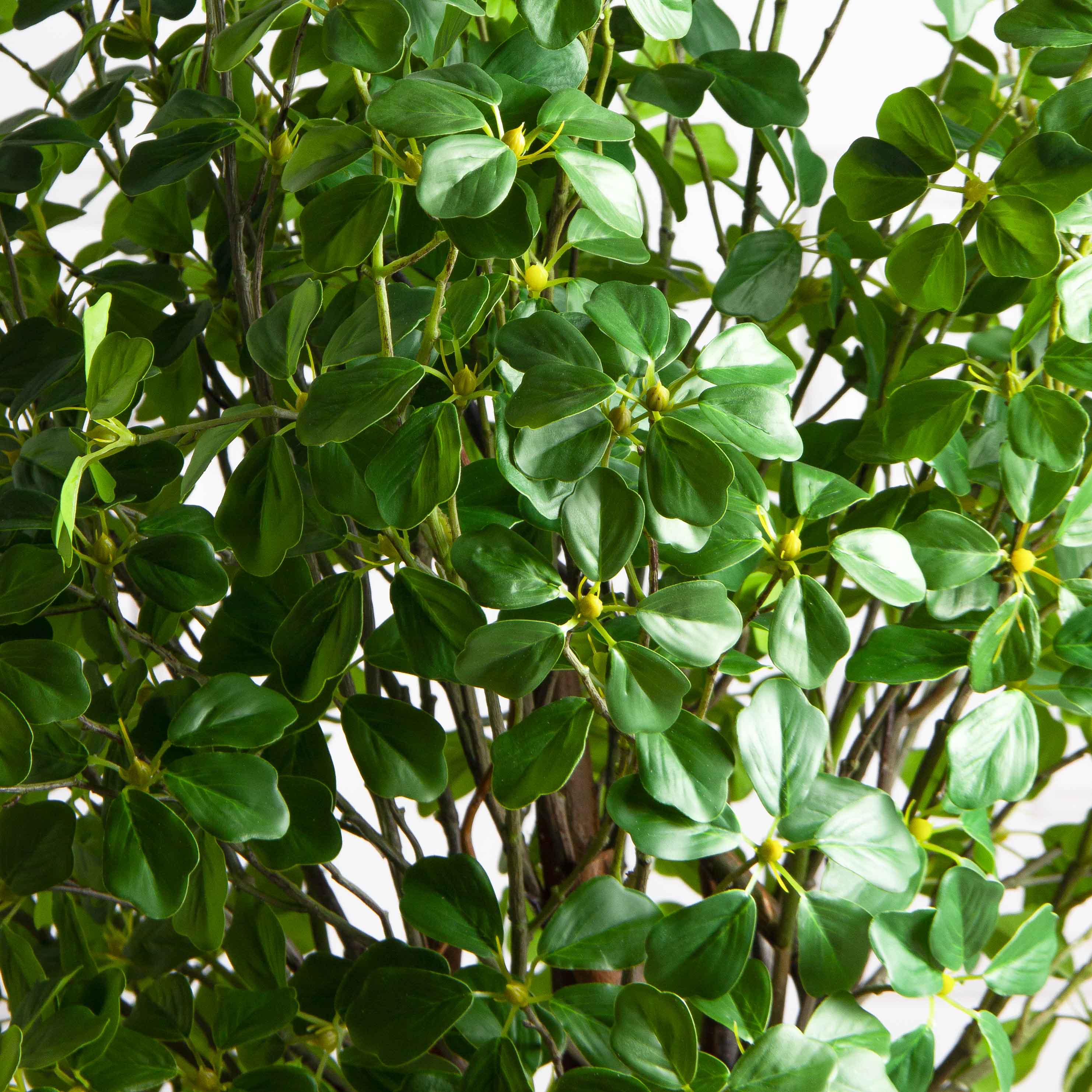 110/ВИТ/ФОН/534(з)(Пр)(F) Шеффлера искусственная Компакта  h110см, латекс_7