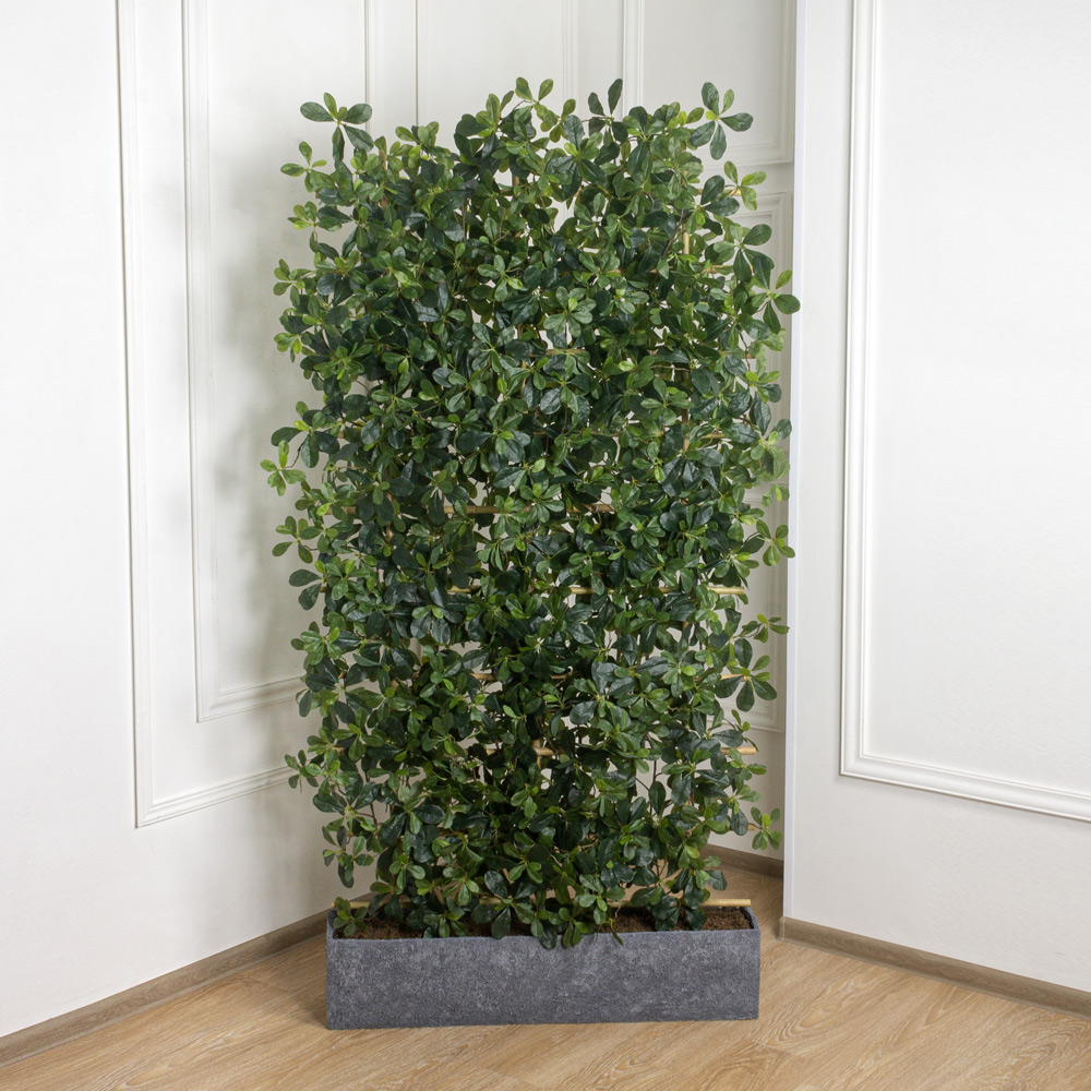 Ш200/84(з) Ширма искусственная с шеффлерой h200см в кокосовом боксе 95х20х20см_1