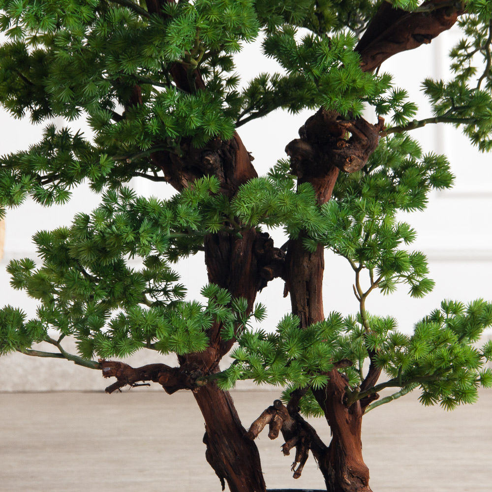 БС110/ОС/427(Пр)(F) Бонсай искусственный Сосна h110см_6