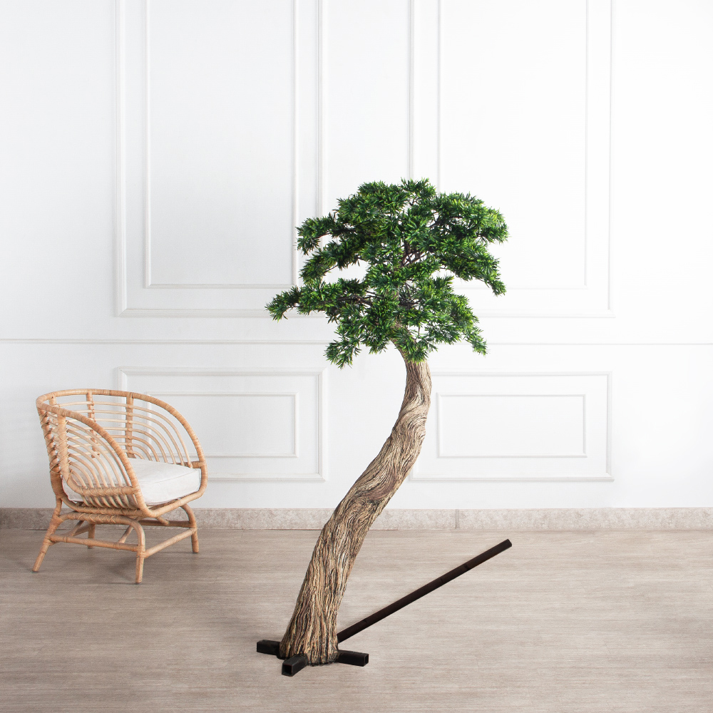 170МЕТ/АСС/241(з)(F) Подокарпус интерьерный h170 d120см_3