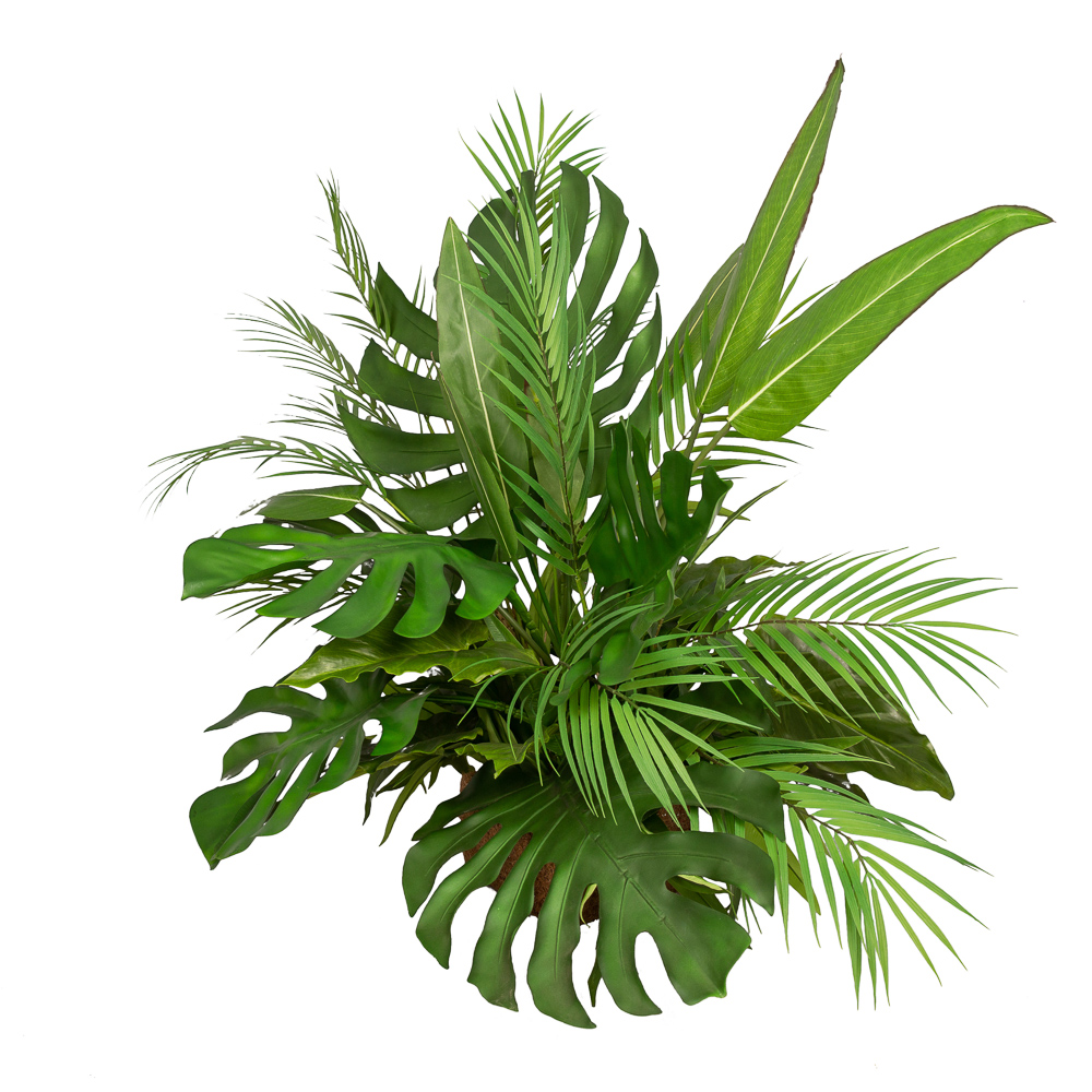 К360 Композиция с монстерой в кокосовом боксе 16*16*h10_2