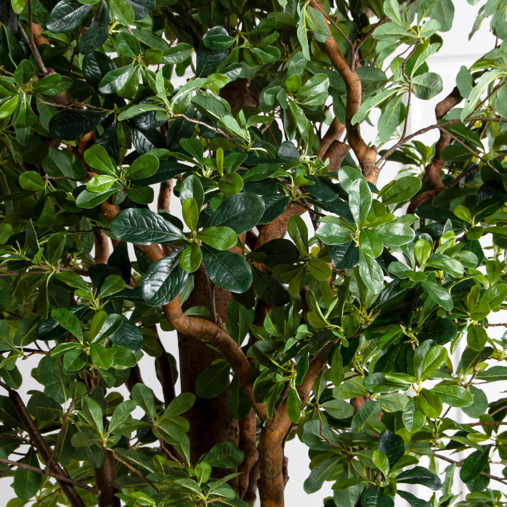 290/РН/84-1(з)(F)  Шеффлера искусственная h290 d160х65см на фанерн.основании d50_4