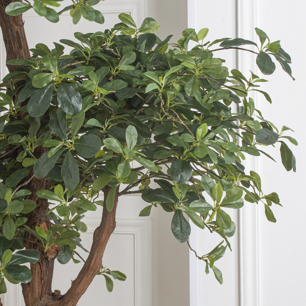 240/3К/ОС/ВП/84(з)(УУ)(Пр) Шеффлера искусственная h240см (латекс)_3