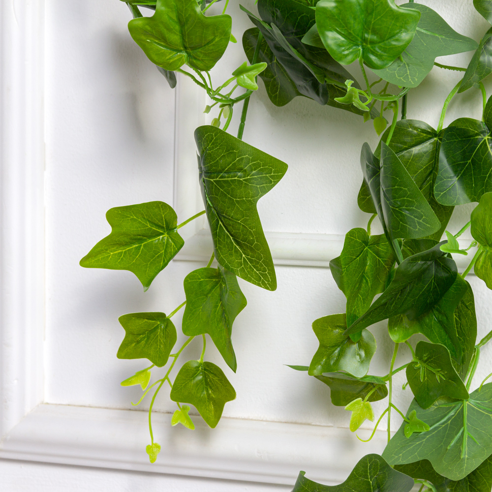 7144/0016-47(F) Плющ хедера h100 зеленый_1