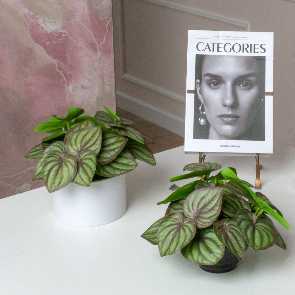 ЦС210(F) Пеперомия искусственная полосатая,зелен-бордовая_1