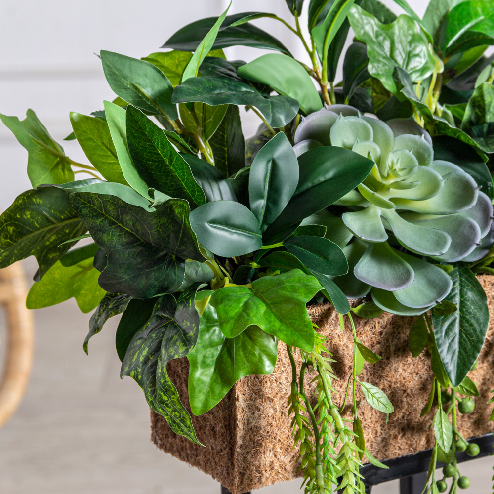 СКК14/7-3/1(з)(F) Композиция из голубых суккулентов с зеленью в кокосовом боксе 30*10*10_4