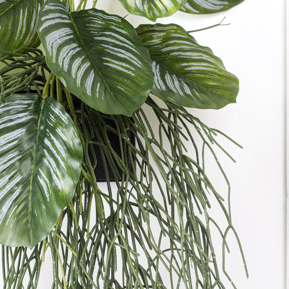 БК 01(Promo) Композиция с рипсалисом и филодендроном на блоке 15*h10см_7