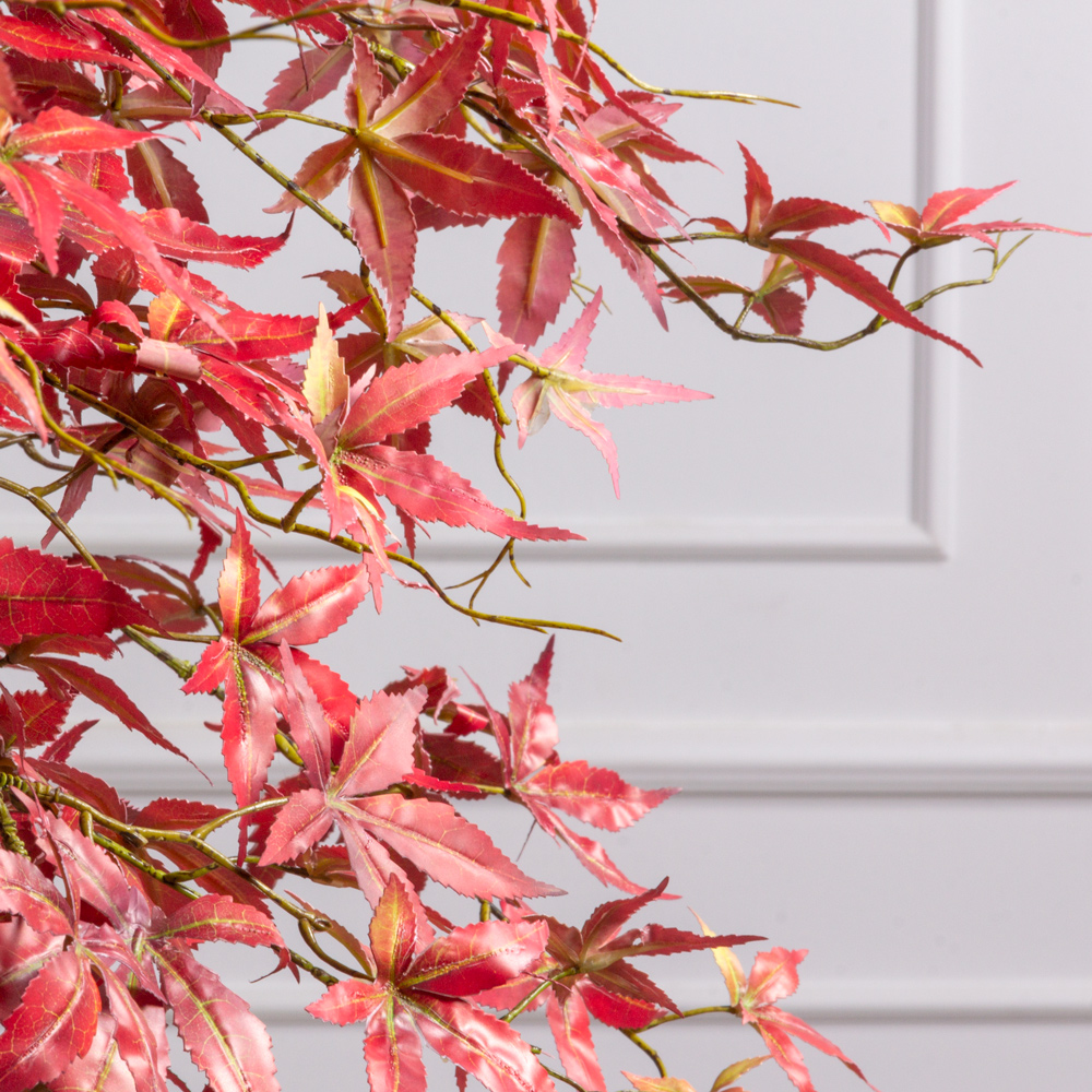 250/ОС/530(з/УУ)(Пр)(F) Клен искусственный японский h250см, красный _3