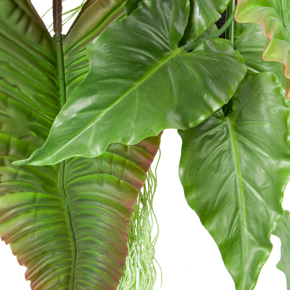 БК 18 Композиция с каладиумом гигантом на блоке 15*h10_3