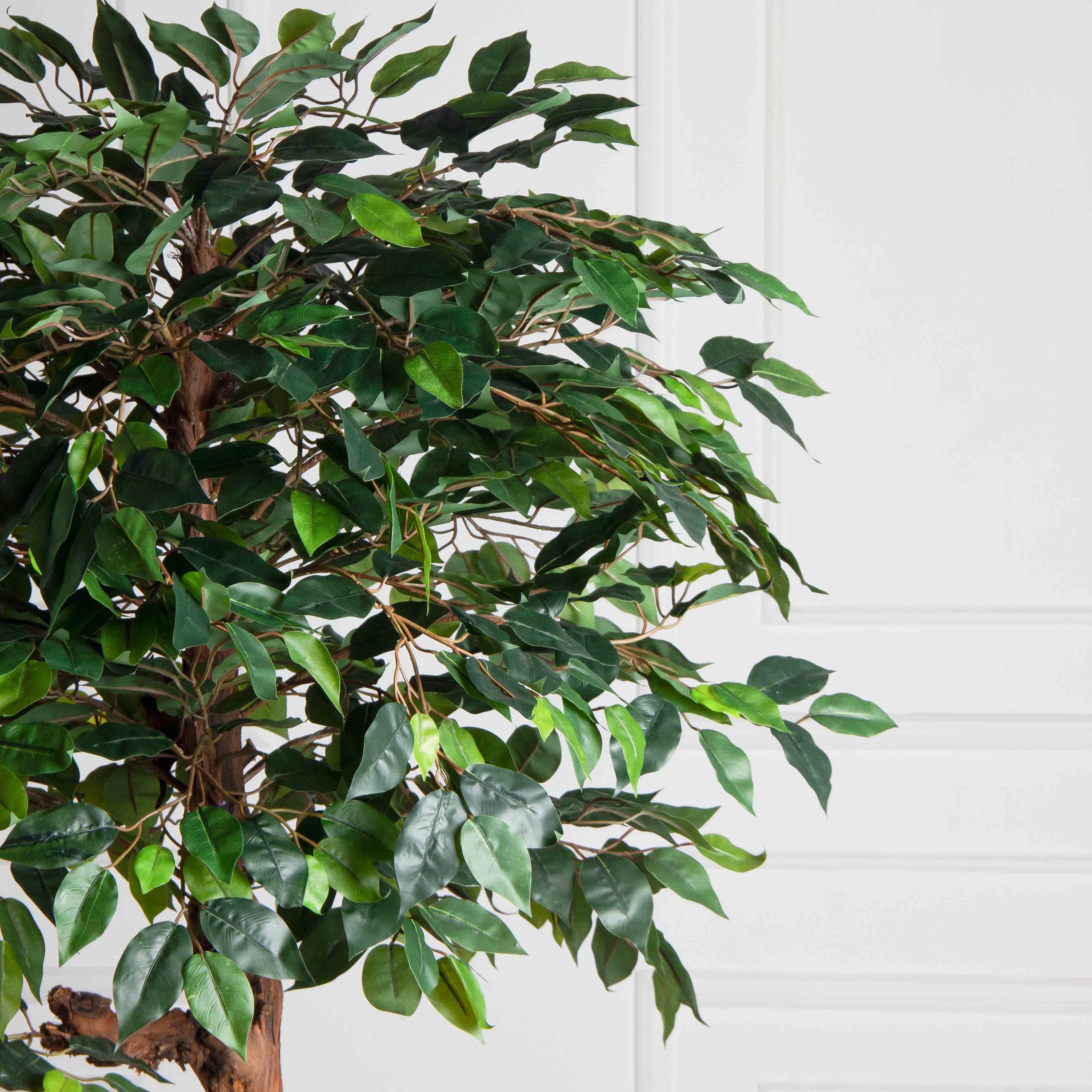 165/ОС/34(F) Фикус искусственный h165см (латекс)_3