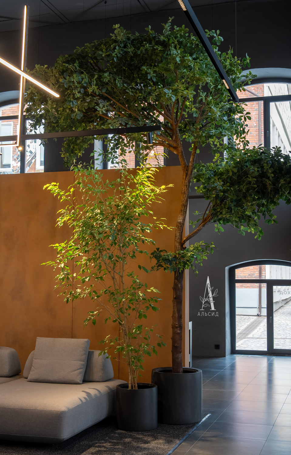 320/РН/84-7(з)(F) Шеффлера искусственная h320см d190см, латекс_7