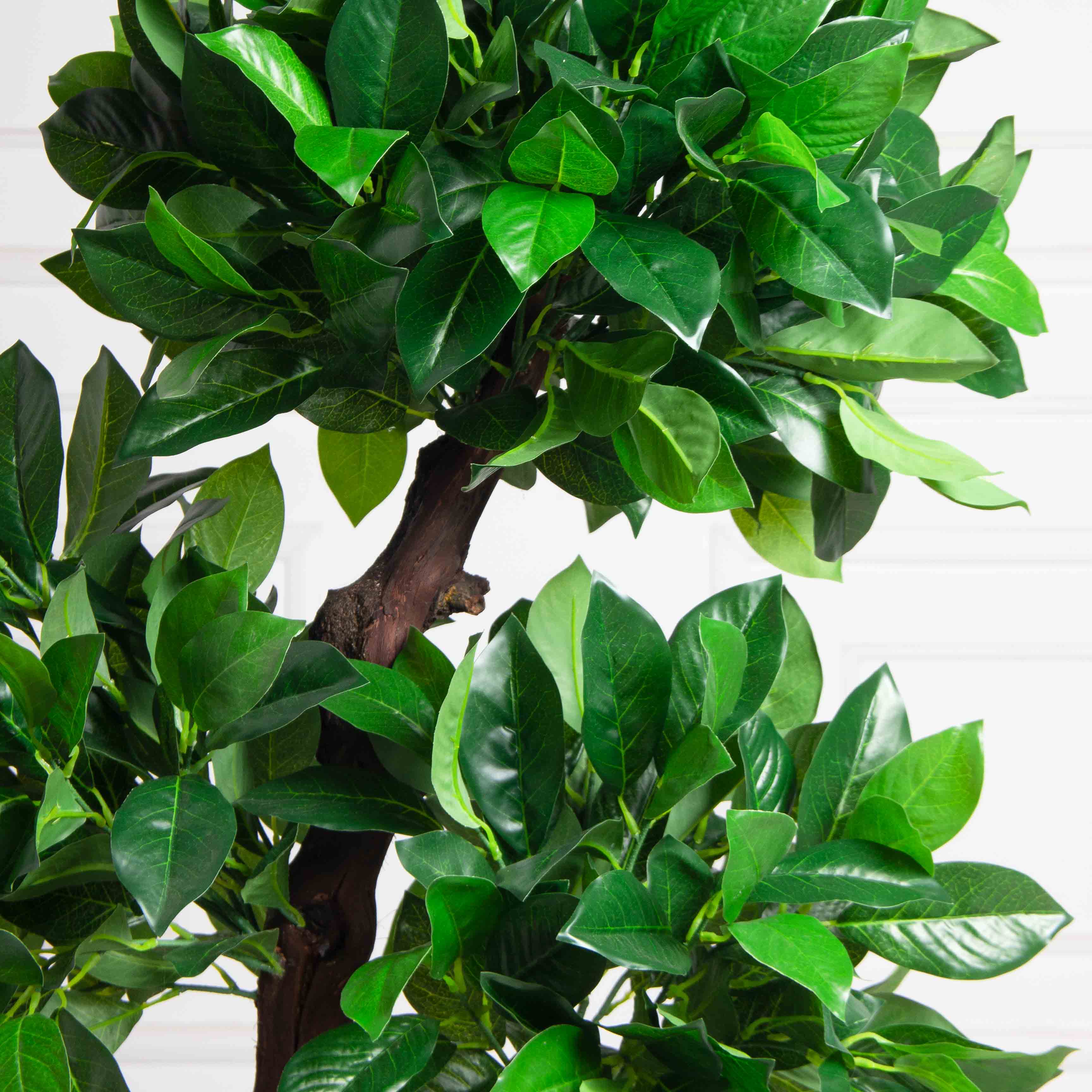 100/ОС/3К/190(F) Лавр искусственный камфорный h100см (латекс)_4