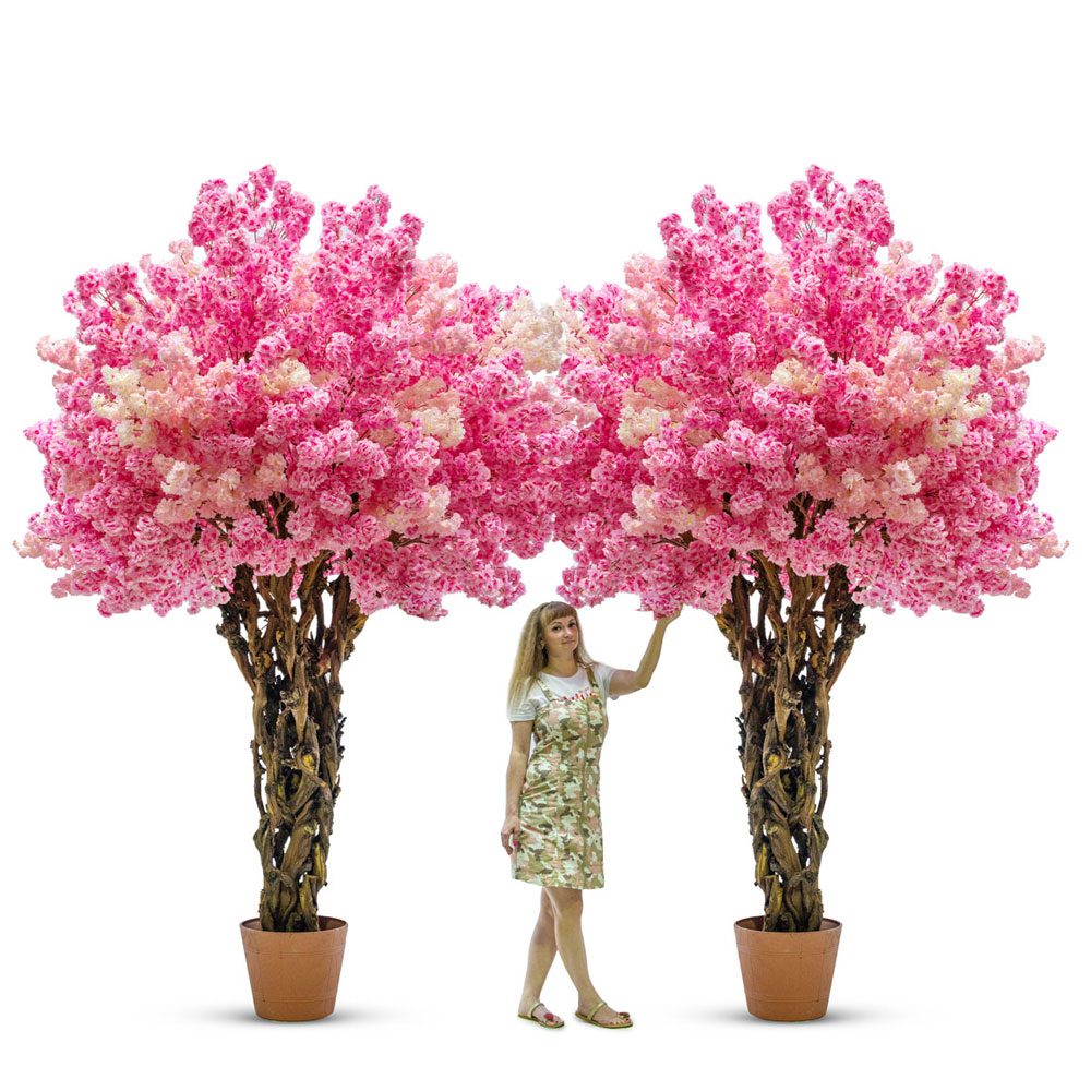 320/ОС/34(з.)Сакура h320см d220-250см_4