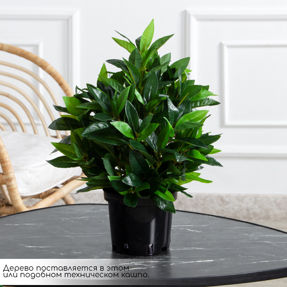 040/К/188(Пр)(F) Лавр искусственный h40-45см (латекс)_2