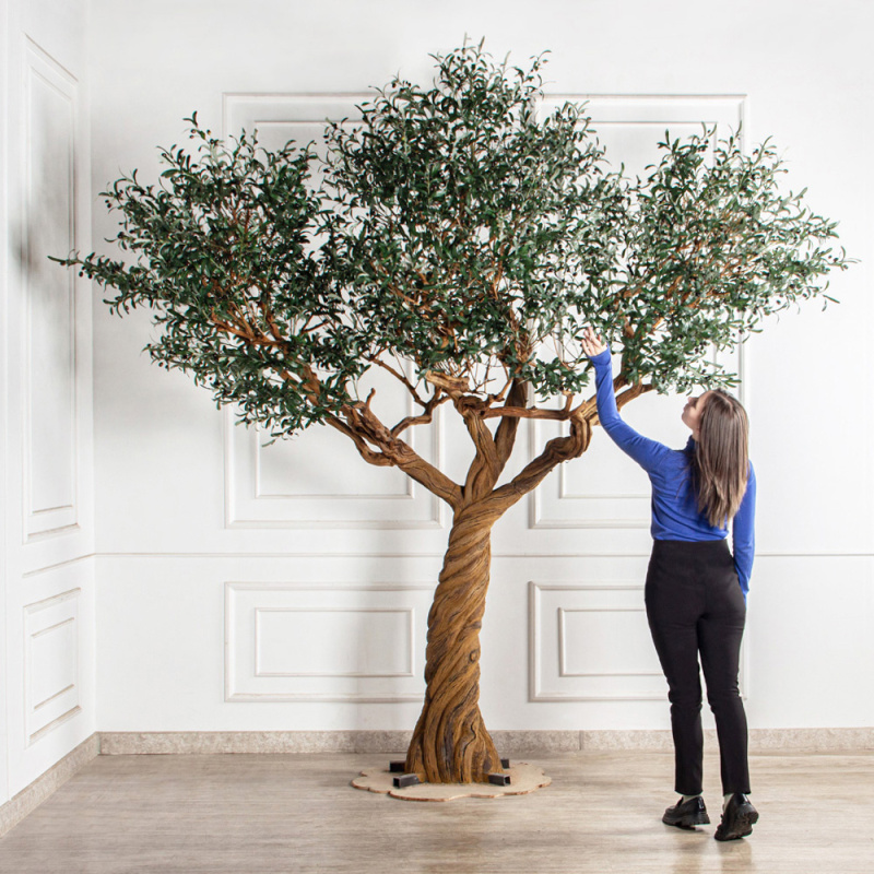 310Гбст/разб/АСС/Д3х4/465(з)(F) Олива интерьерная разборная  h310см на витом стволе_1