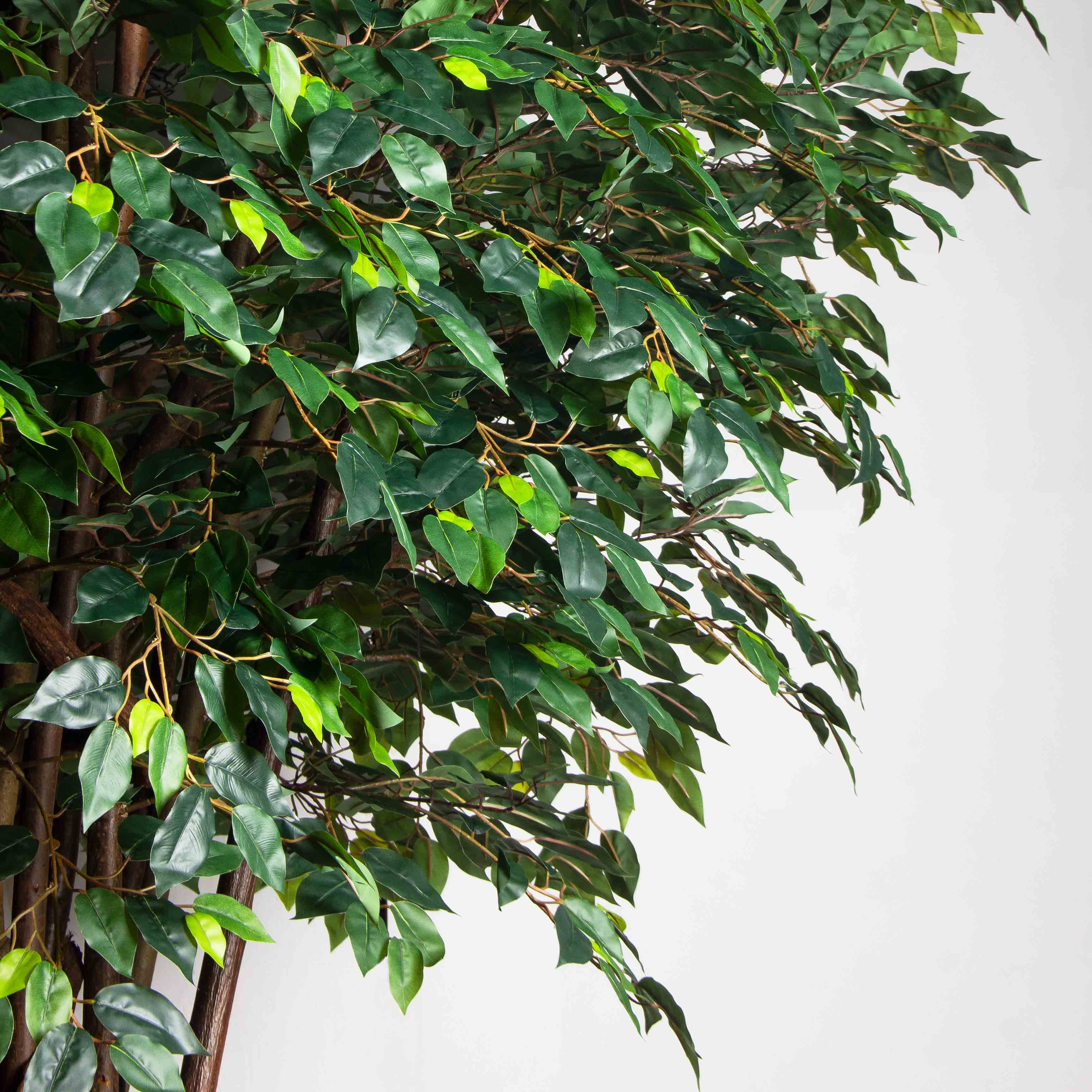 300/РН/Л/34(Пр)(F)Фикус искусственный h300см (латекс) на основании_7