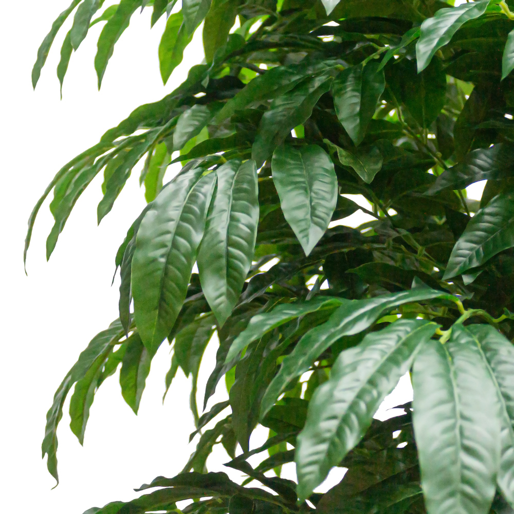 260/РН/220(з.) Дерево искусственное Манго без плодов h260см,d120,13кг_2