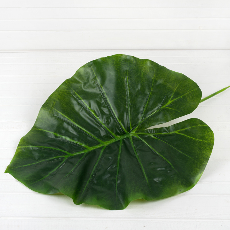 7143/0760-45/1Р Лист сциндапсуса (латекс) больш.