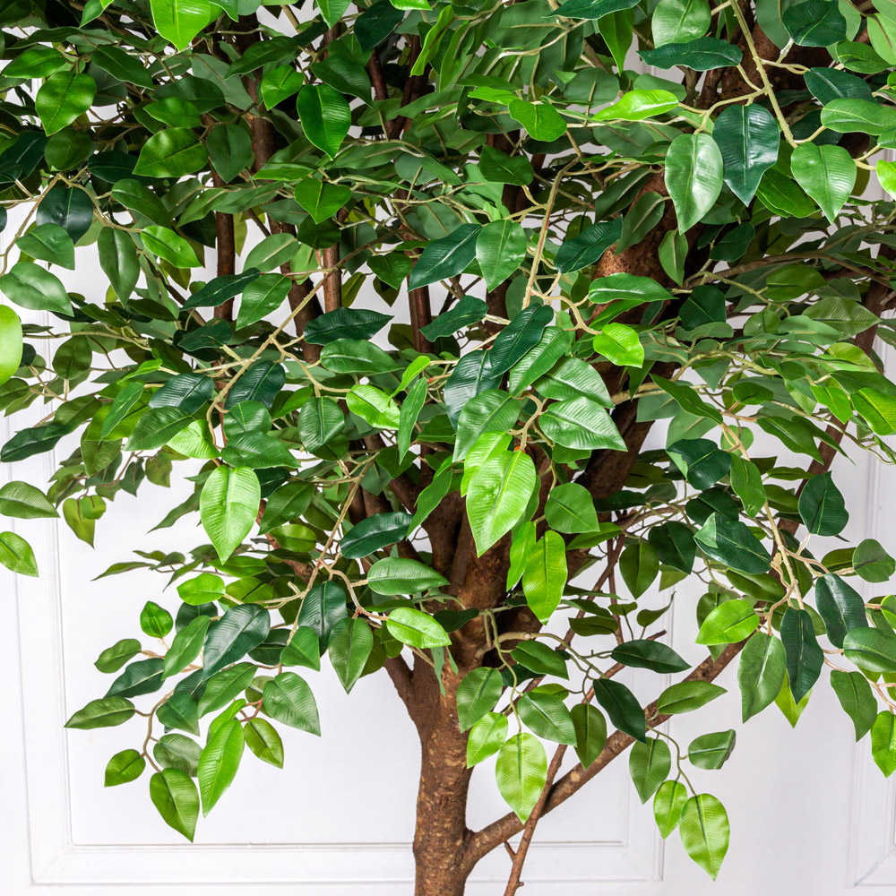 200/РН/34-4(з) Фикус искусственный h 200см,d160см(латекс)_1