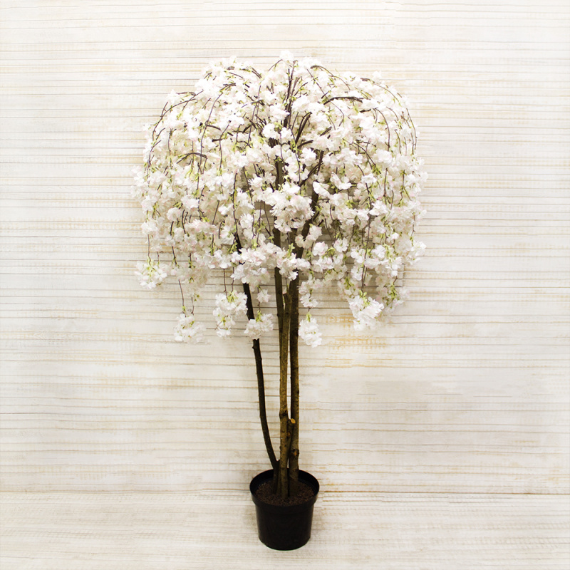 170/2К/РПК/191-2(з.) Сакура королевская (белая)