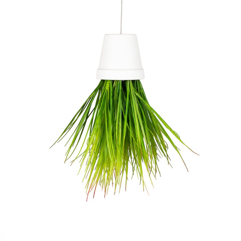 СП01-1 Sky Planter Трава (латекс)h20 в кашпо (11*1