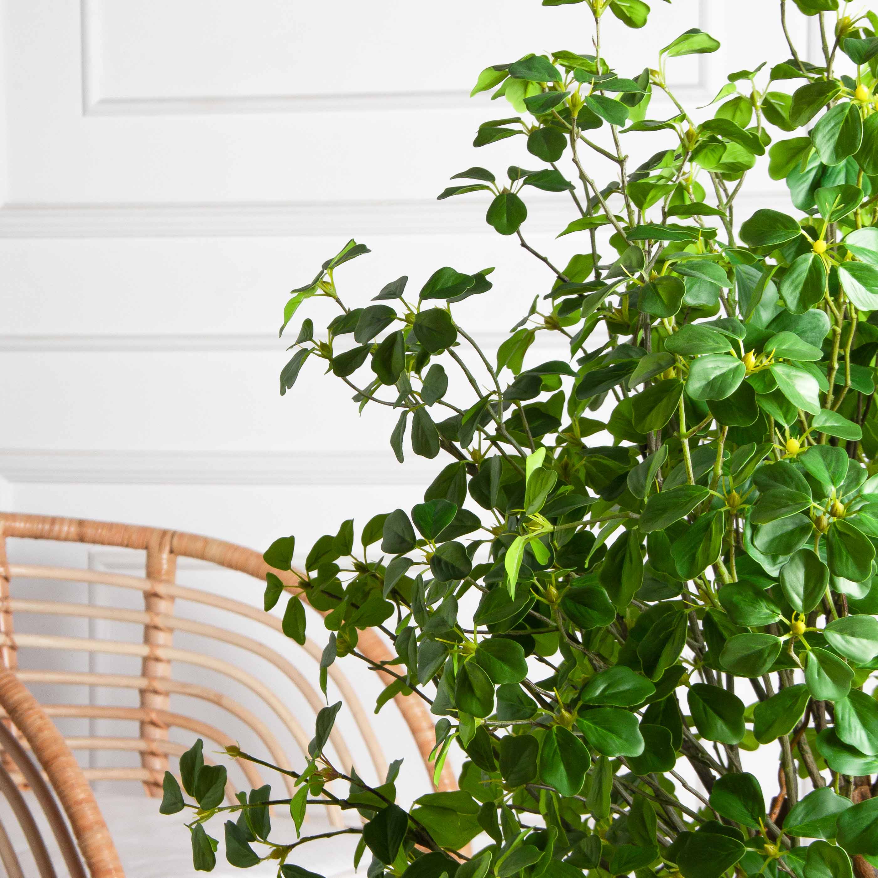 110/ВИТ/ФОН/534(з)(Пр)(F) Шеффлера искусственная Компакта  h110см, латекс_6