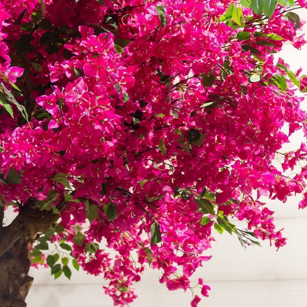 350/ОС/434(з)(УУ)(F) Бугенвилле́я искусственная h350см, d250см на основании 100х70см_2