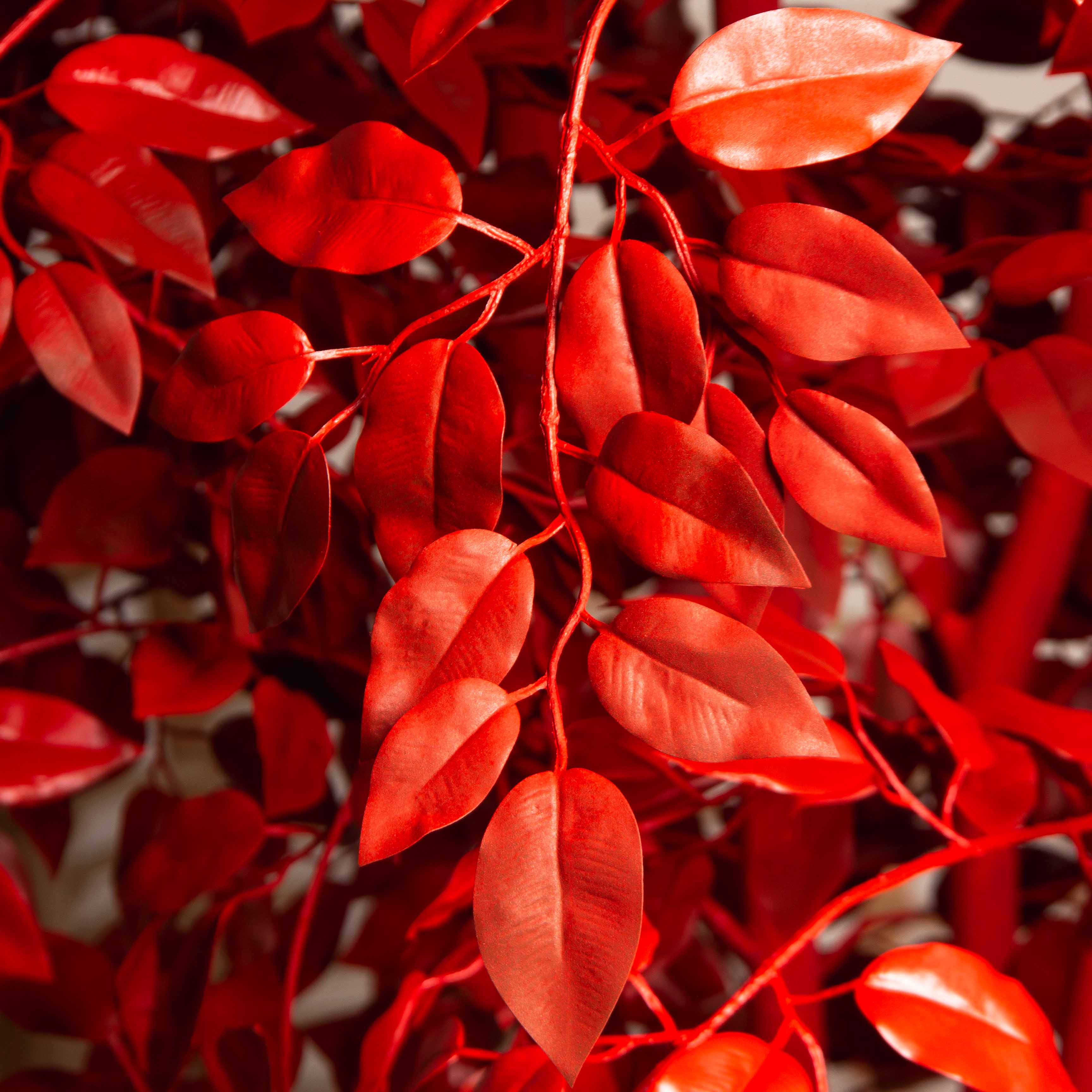 170/РН/17М(з)(F) Фикус искусственный с покрасом RAL3020. h170см d90см, латекс_3