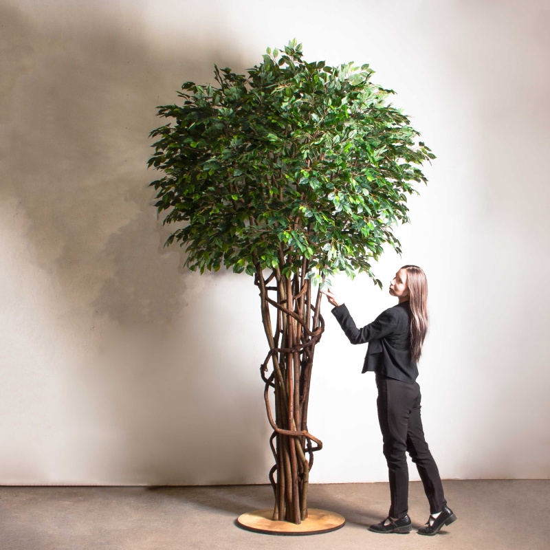 300/РН/Л/34(Пр)(F)Фикус искусственный h300см (латекс) на основании_1