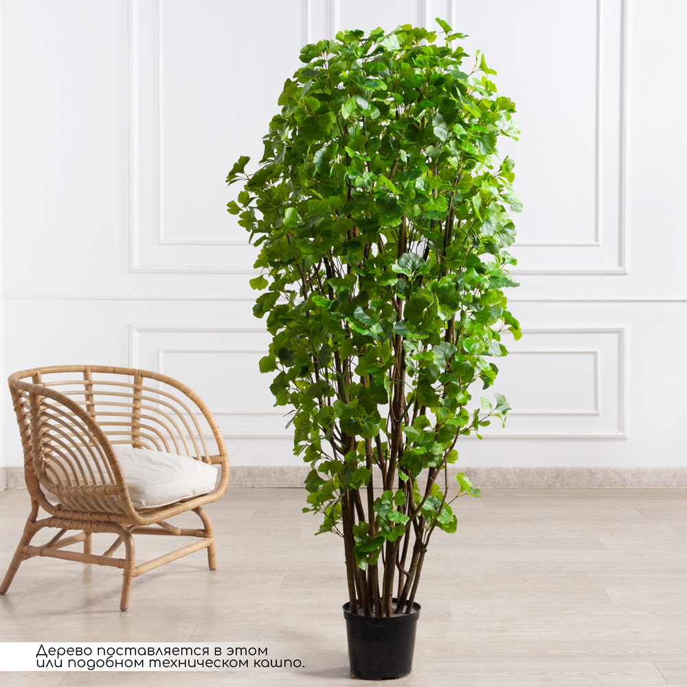 180/К/459(з)(F) Гинкго искусственный куст h180см _1