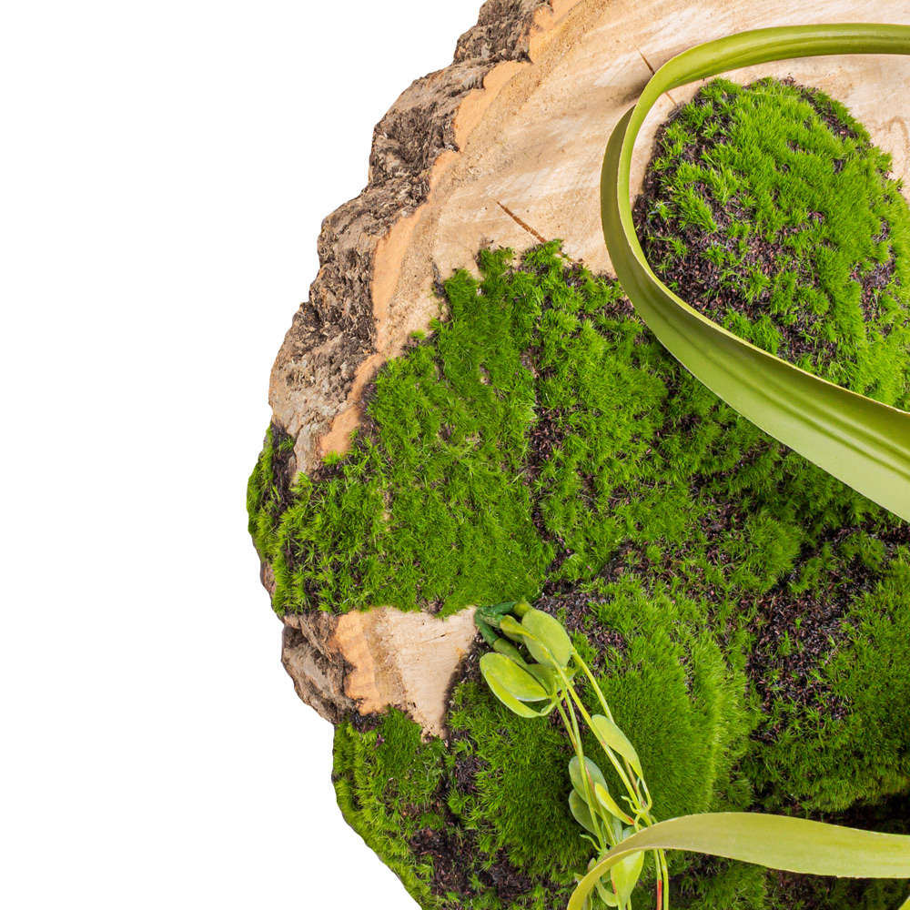 БК140/1 Композиция на березовом спиле d48-50см_2