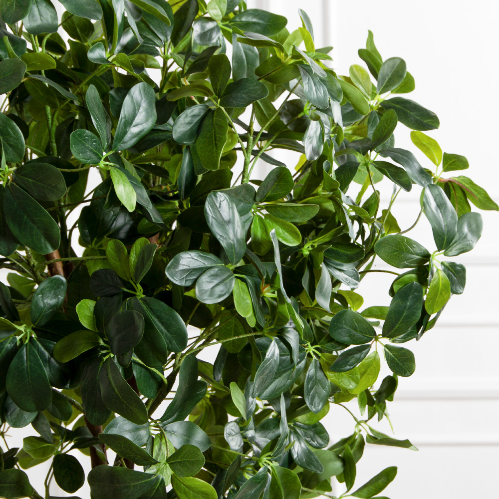 160/Ш/РН/84(FixS)(Пр)(F) Шеффлера искусственная h160см (латекс)_4