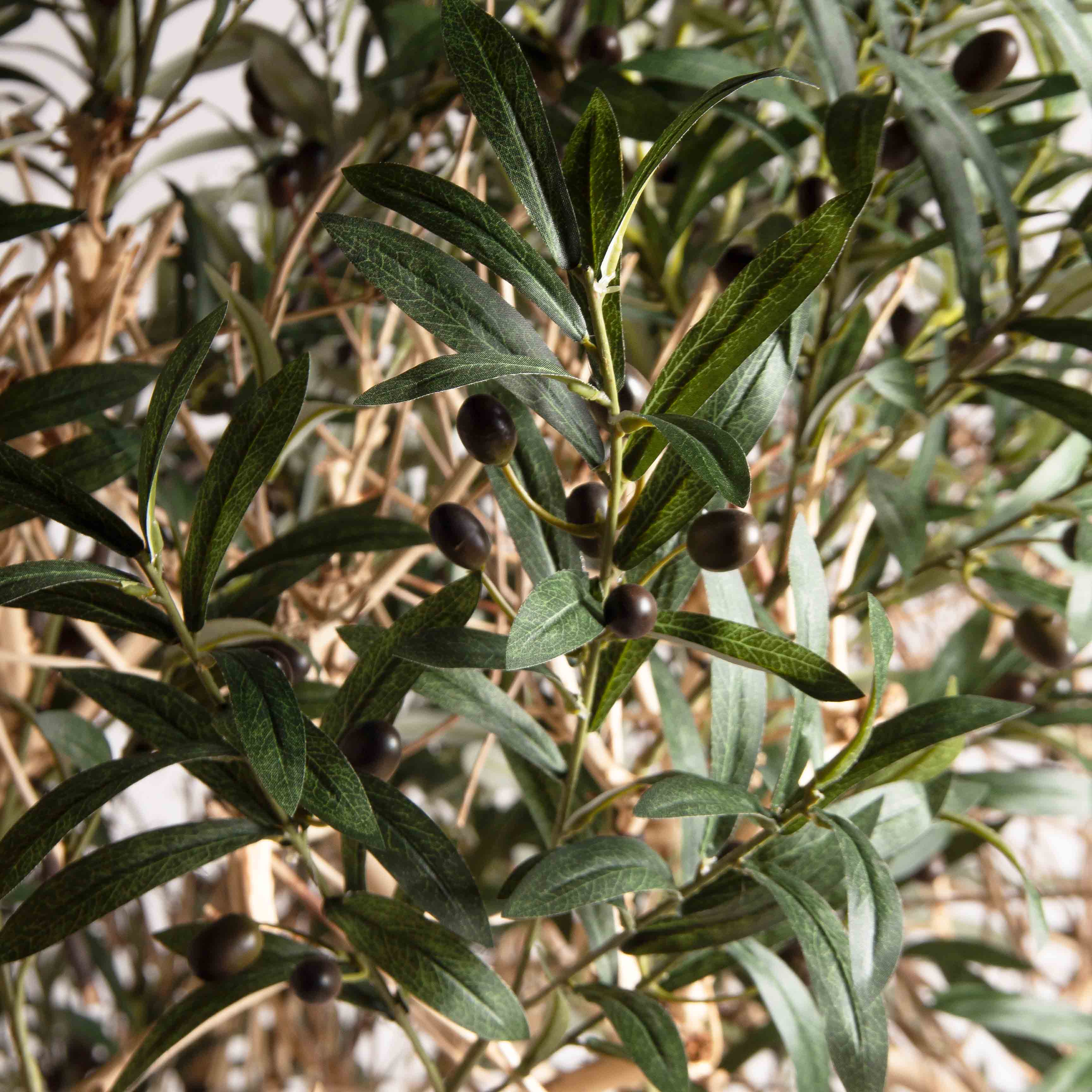 230ГБст/Разб/АСС/Д3х3/465(F) Олива искусственная интерьерная разборная на витом стволе h230см_4