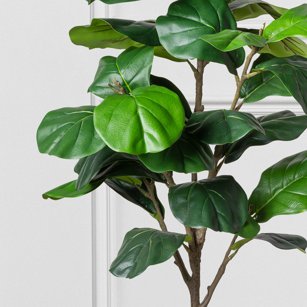 150/К/499 Фикус Лирата искусственный h150см_3