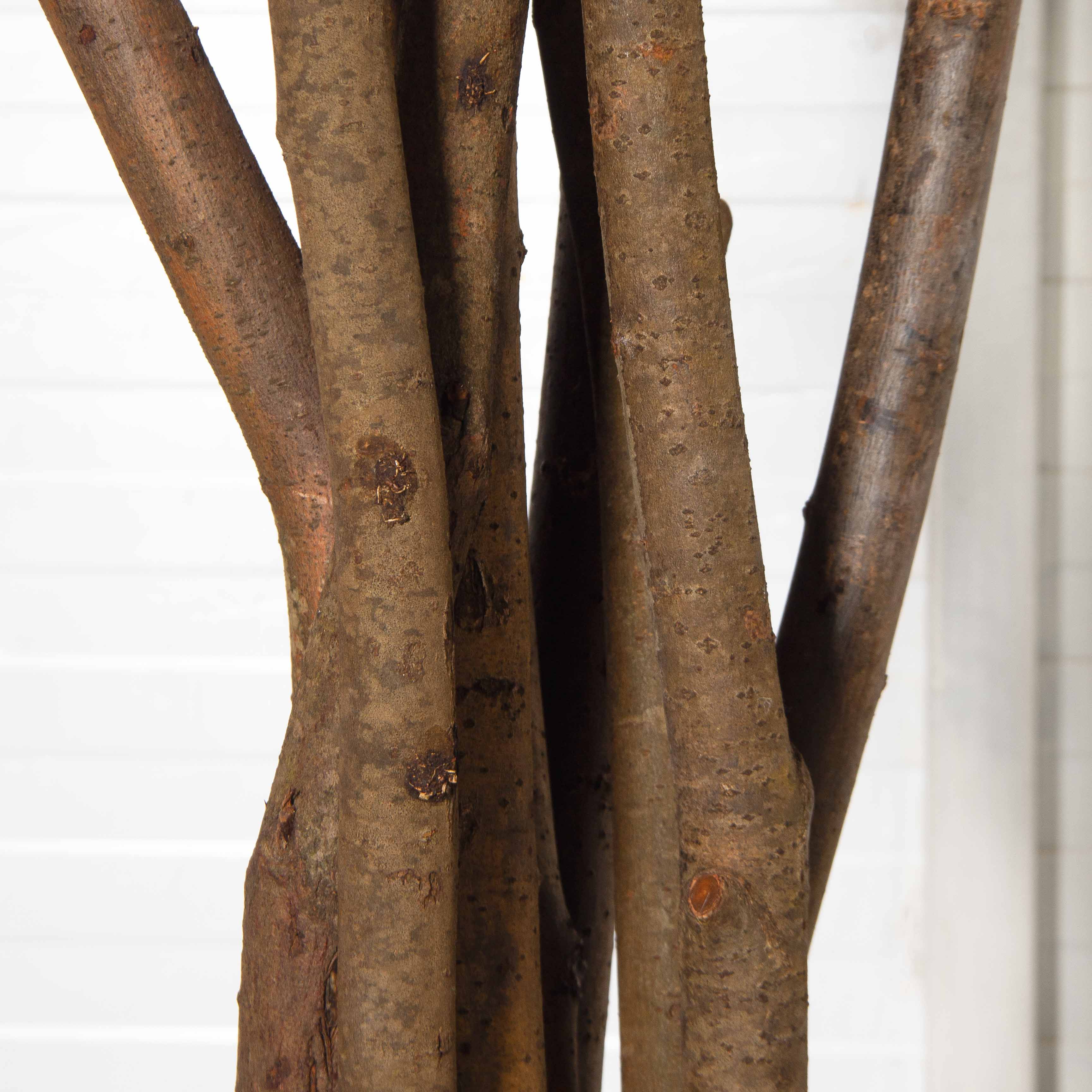 320/РН/84-7(з)(F) Шеффлера искусственная h320см d190см, латекс_5