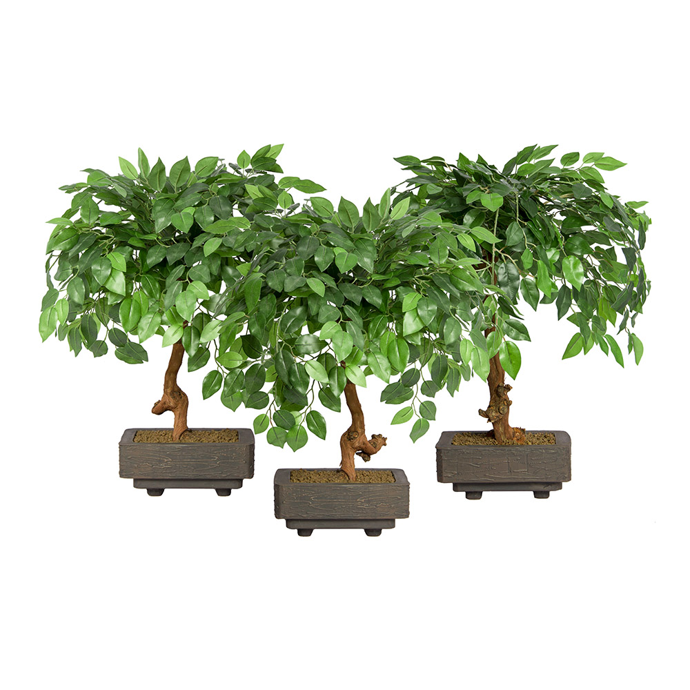 БЛ 55/09М-1(з.)_5