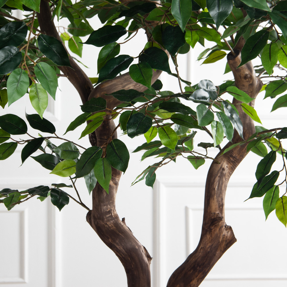 230/1Ст/ВИТ/34(Пр)(F) Фикус искусственный h230см на основании_6