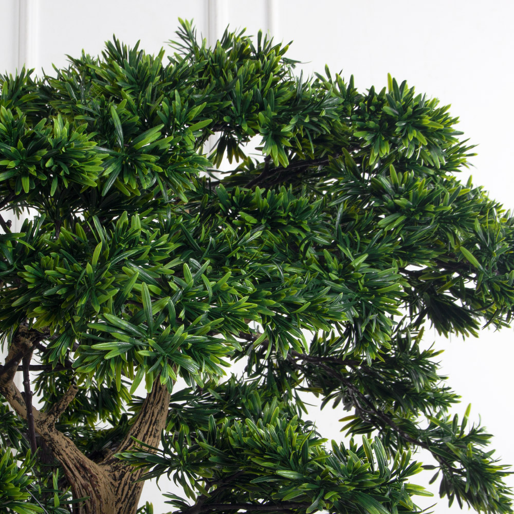 180МЕТ/АСС/241(з)(F) Подокарпус интерьерный h180 d110см_6