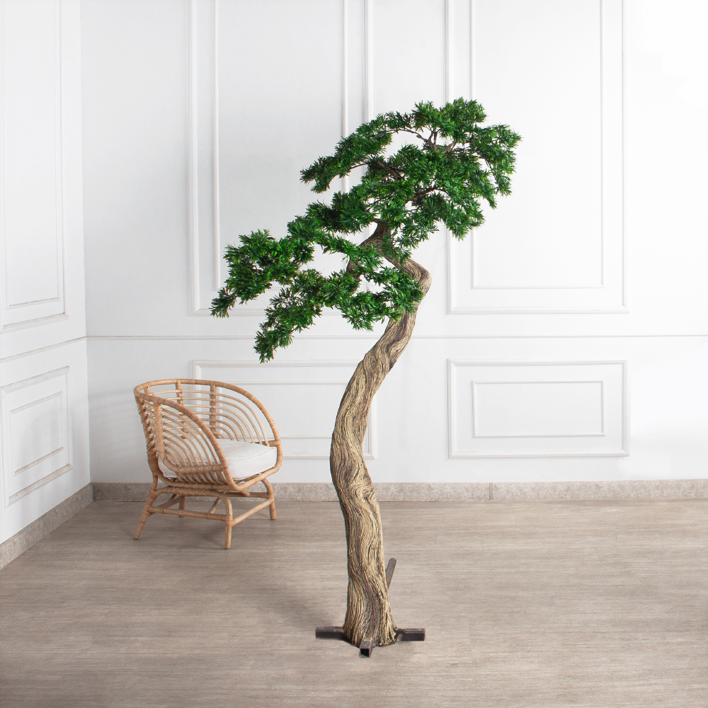 210МЕТ/АСС/241(з)(F) Подокарпус интерьерный h180 d150см_3