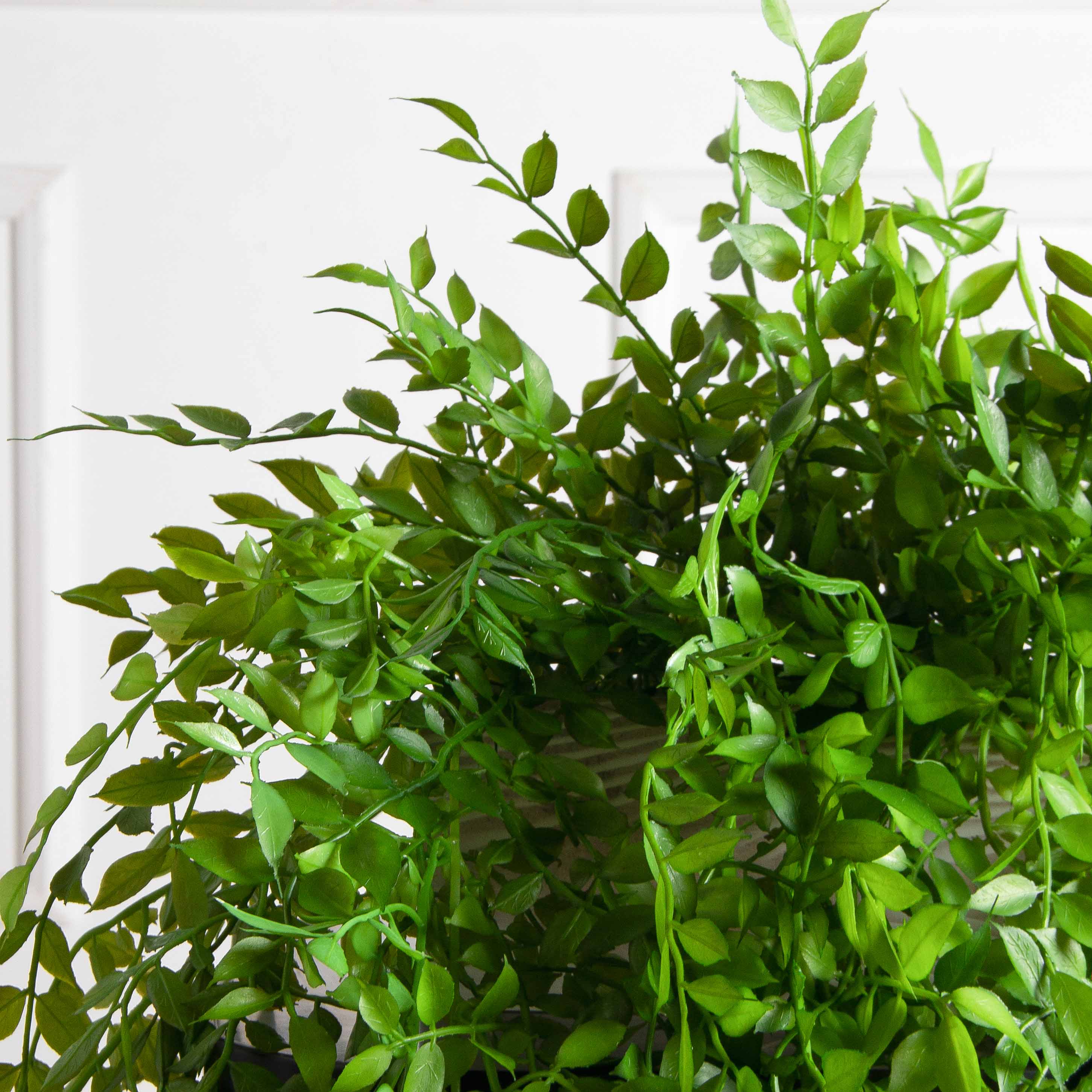 ТДЯ127(F) Даксин искусственный ампельный в деревянном бежевом ящике 20х9х8см_5