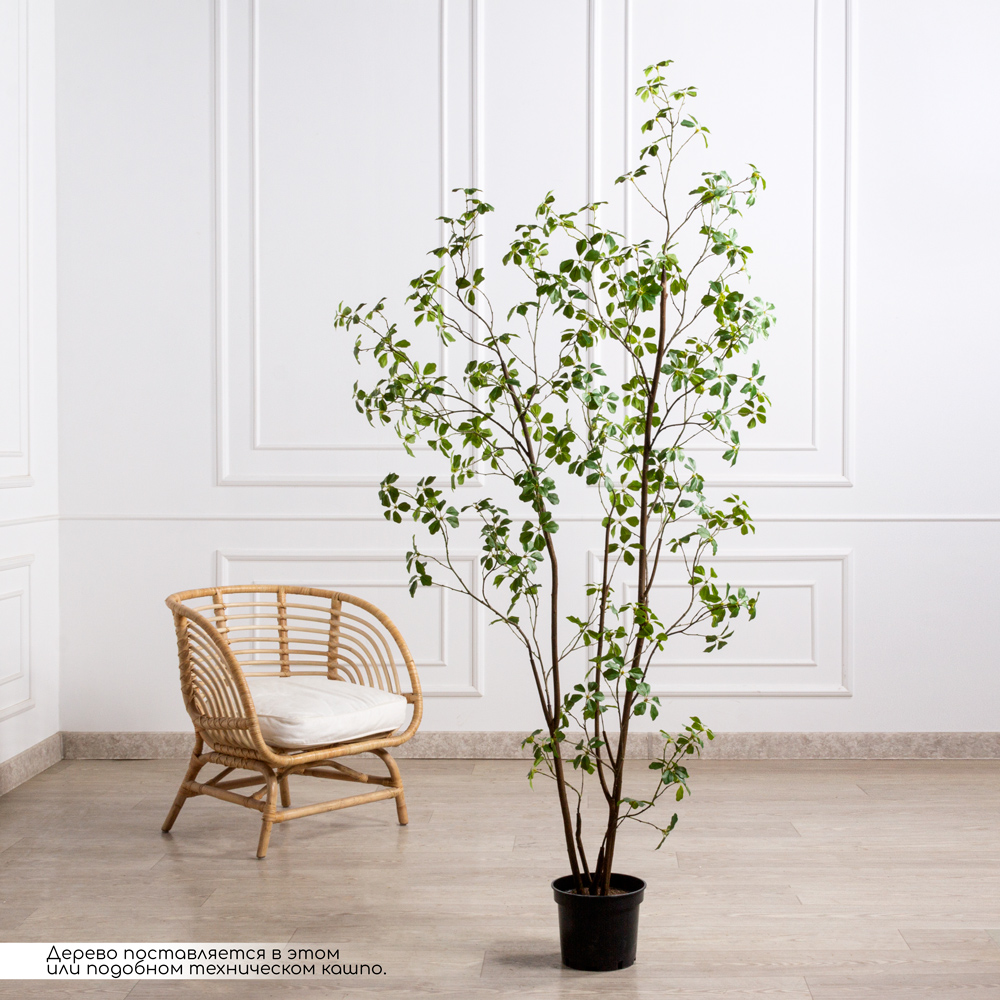 210/РН/ОК/534(Пр)(F) Шефлера Компакта искусственная h210см_1