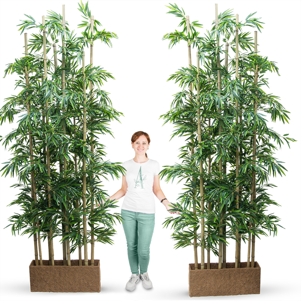 Ш250/75 Ширма бамбук h250 в кокосовом боксе 65*15*h20_4