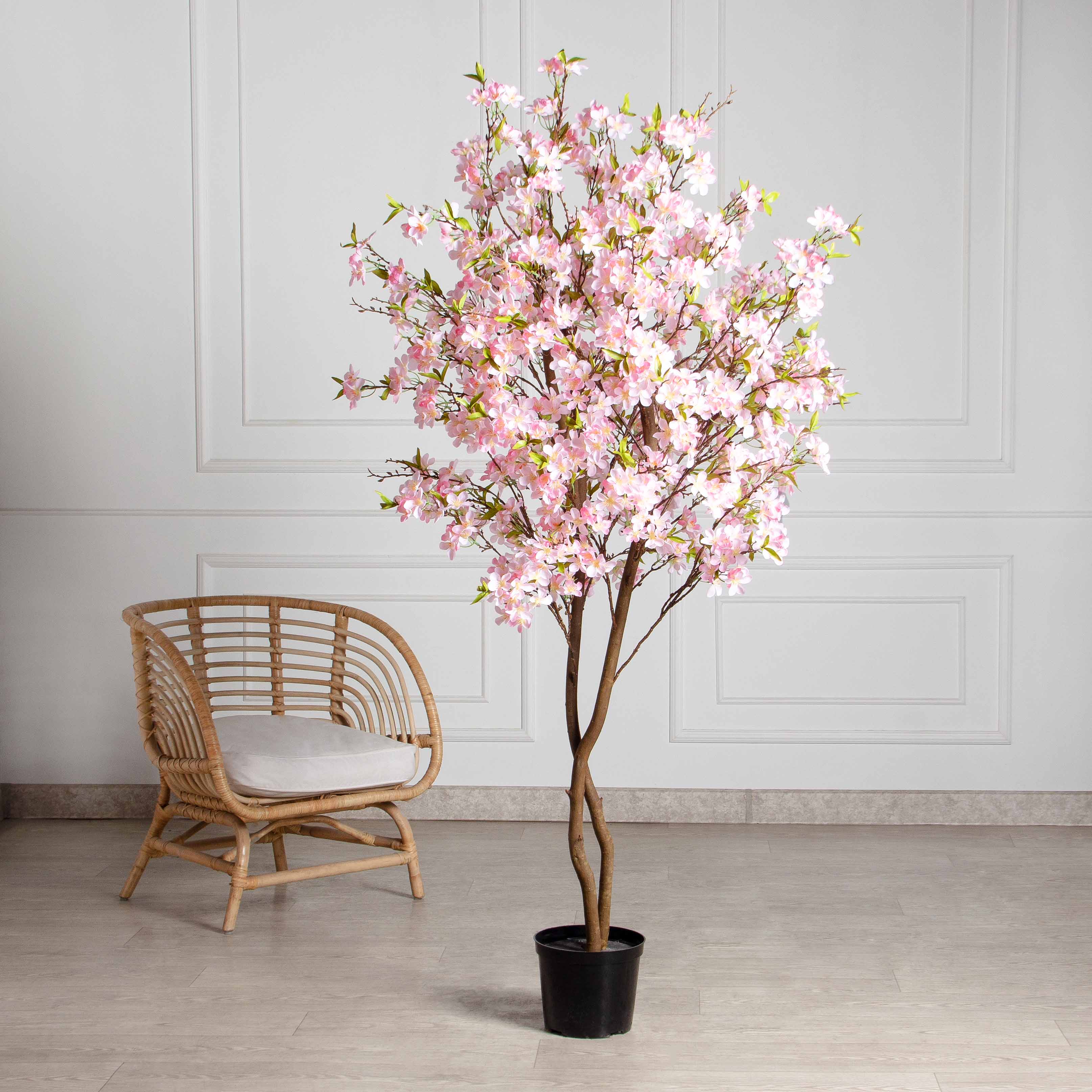 Другие цветущие деревья