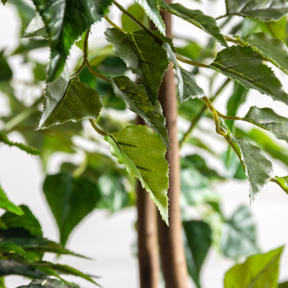 240/РН/12М-4(з)(F) Береза искусственная h240см, 2 ствола(латекс)_5