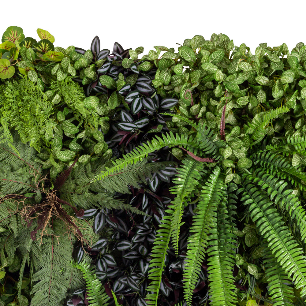 ФТС156-1 Фитостена _9